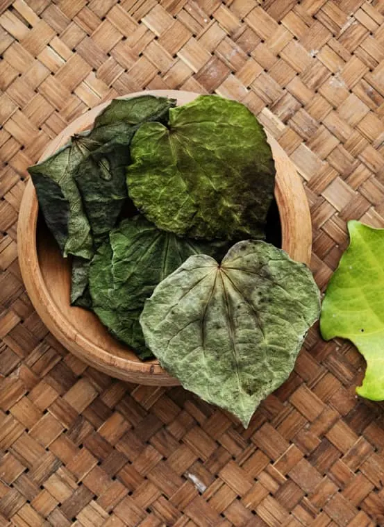 Kawakawa Leaf