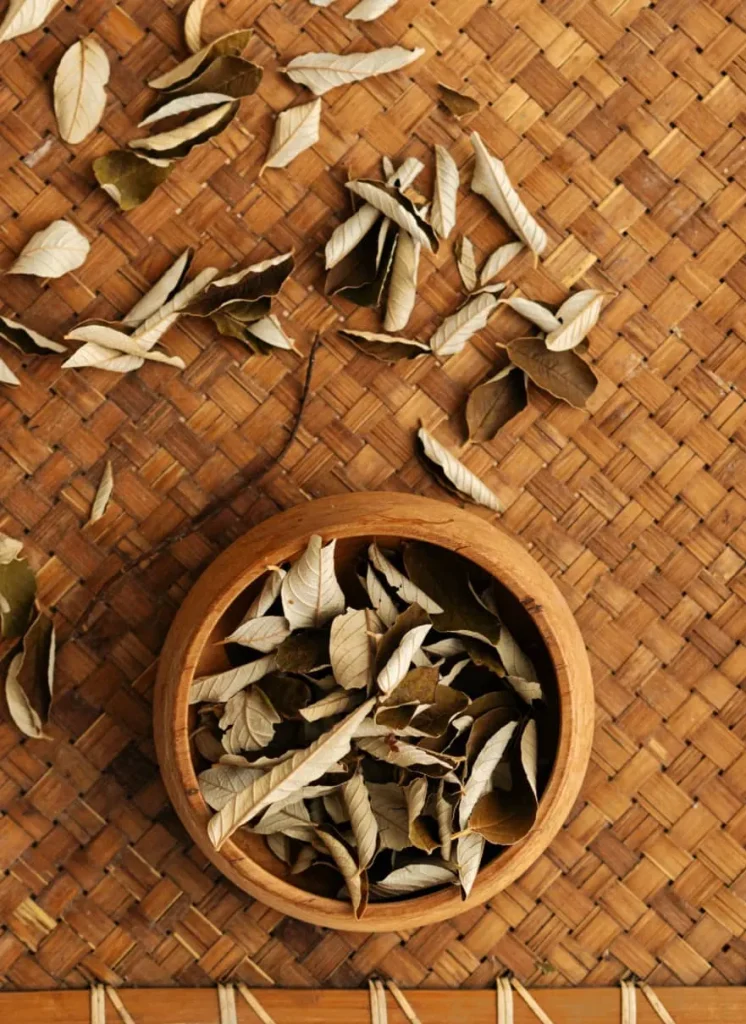 Kumarahou Dried Leaf