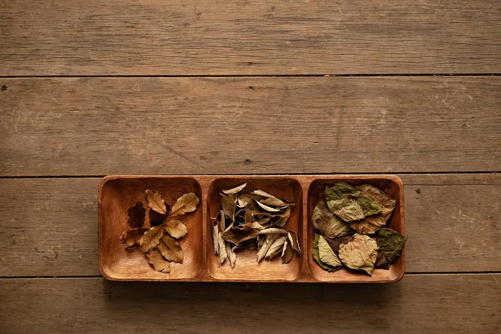 Variety of Dried Natural Leaf