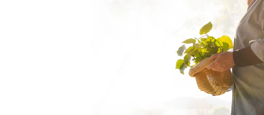 A man holding a basket full of leaf
