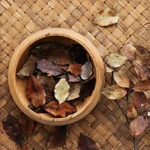 A bowl brimming with assorted horopito leaves is placed on a table, enhancing the room's organic feel.