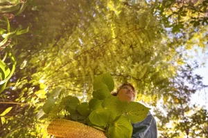 Owner with a basket of native leaf