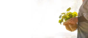 A man holding a basket full of leaf
