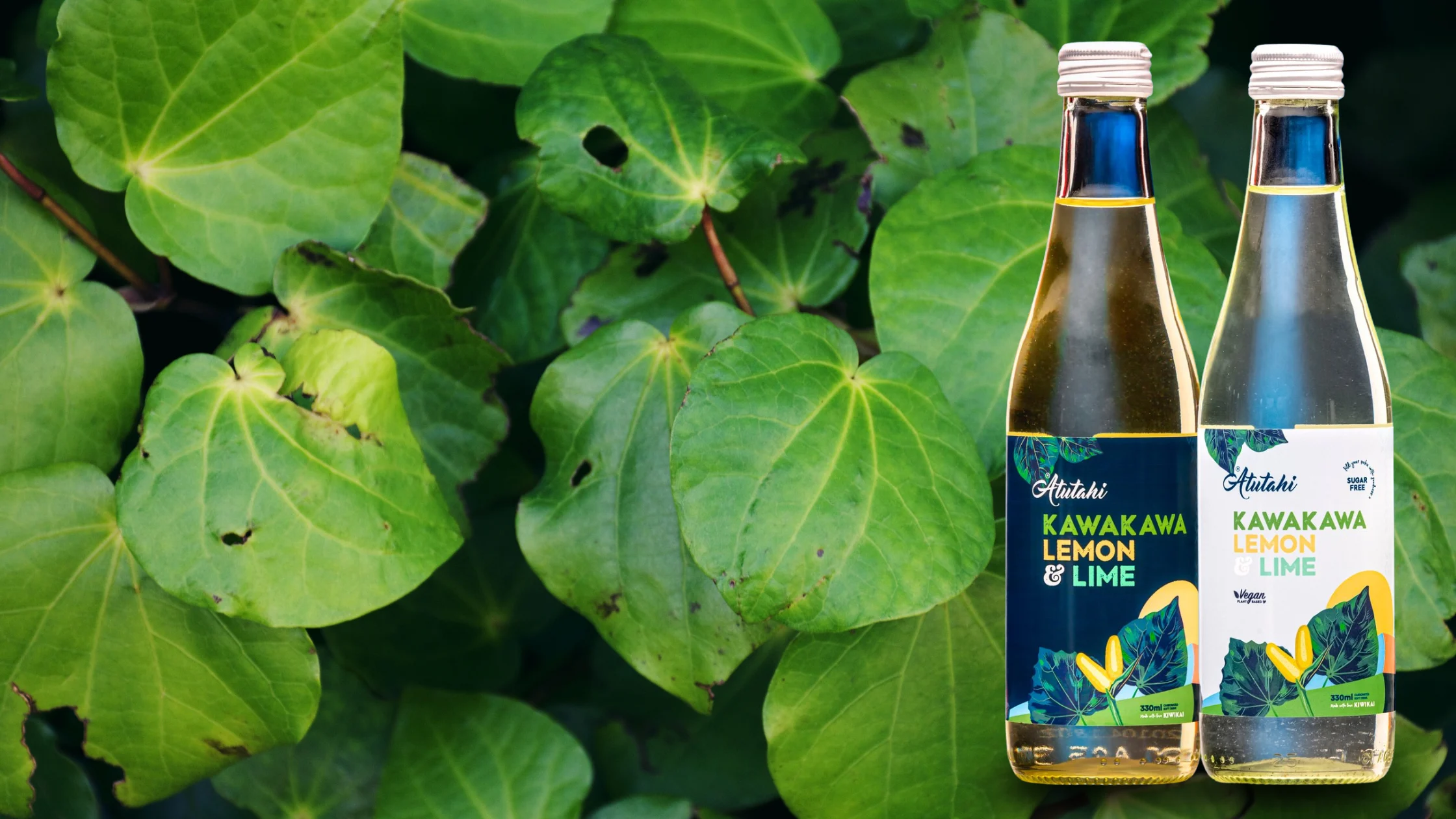 Kawakawa The Digestive Superleaf of Aotearoa