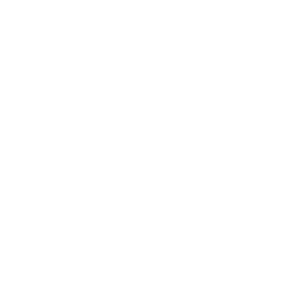 Toiere