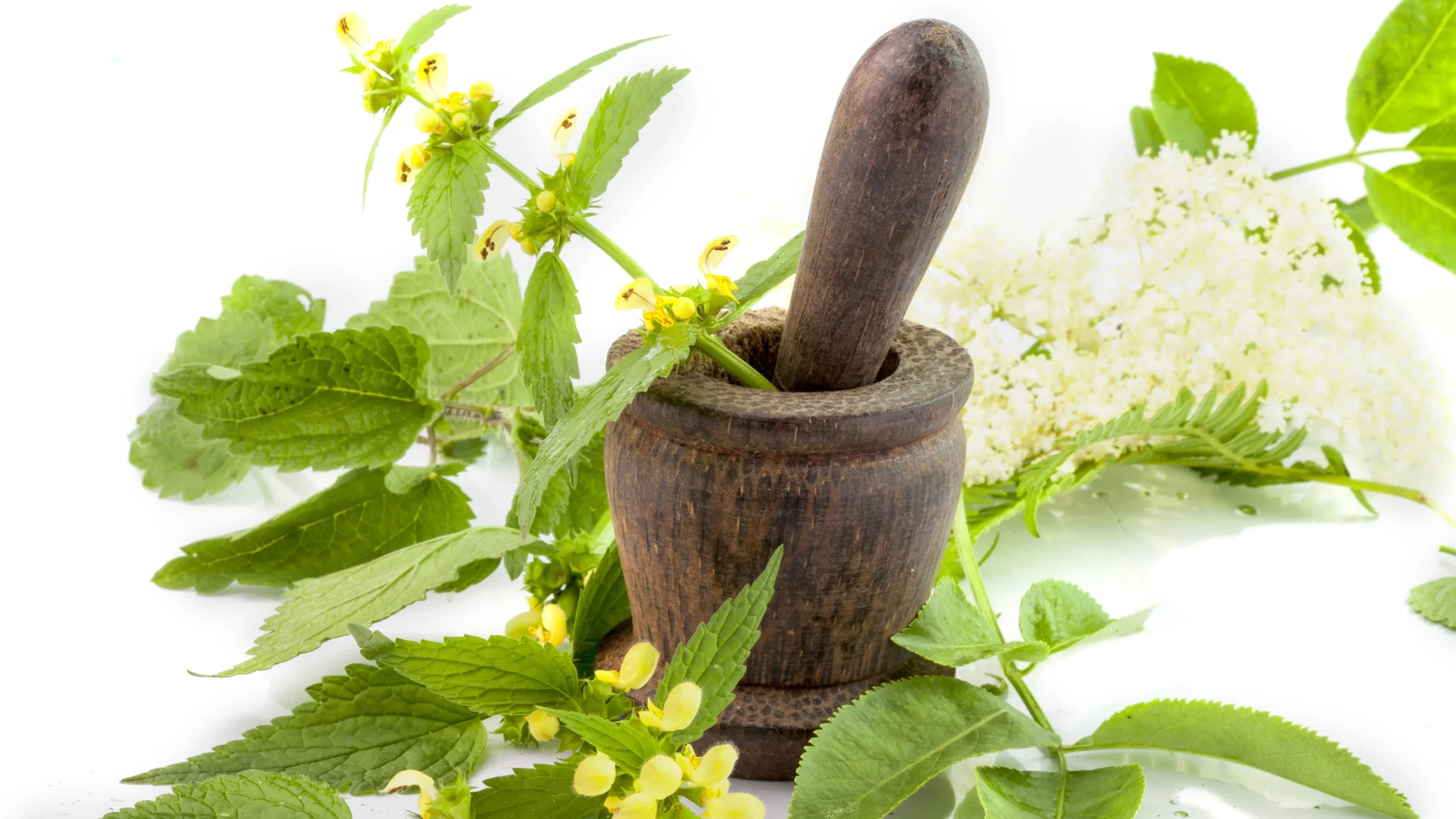 Why New Zealanders Are Switching to Māori Herbal Beverages