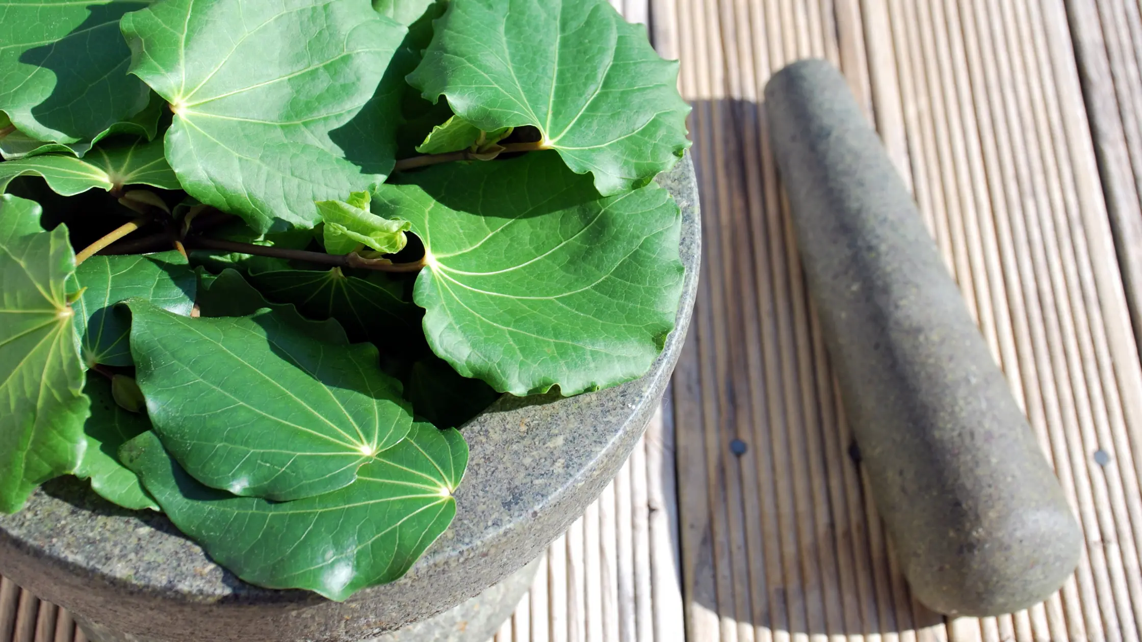 How Rongoā Māori Inspires Modern Wellness